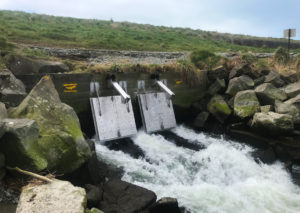 Fish Friendly Floodgate