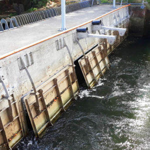 Fish Friendly Floodgate