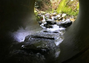 Fish Baffle, Spoiler Baffle, Culvert Baffle, Culvert Spoiler, Fish Ladder, Fish Passage, Weir Baffle